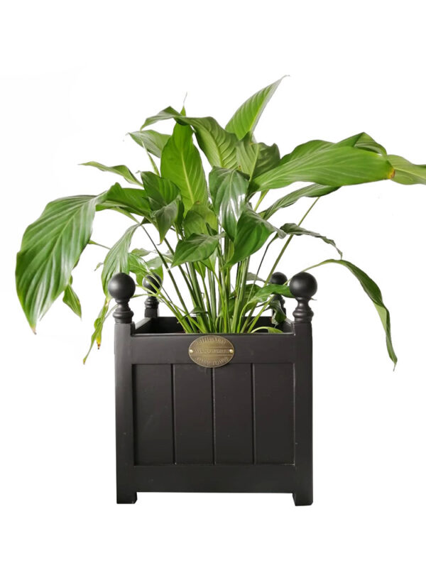 Stacking Wooden Planter / Tiener / Teenager